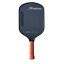 ProDrive Ghost Raw Carbon Pickleball Paddle