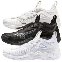 Mizuno Wave Momentum 3 Men's Indoor Shoes (430319)